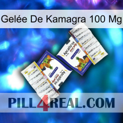 Gelée De Kamagra 100 Mg 12